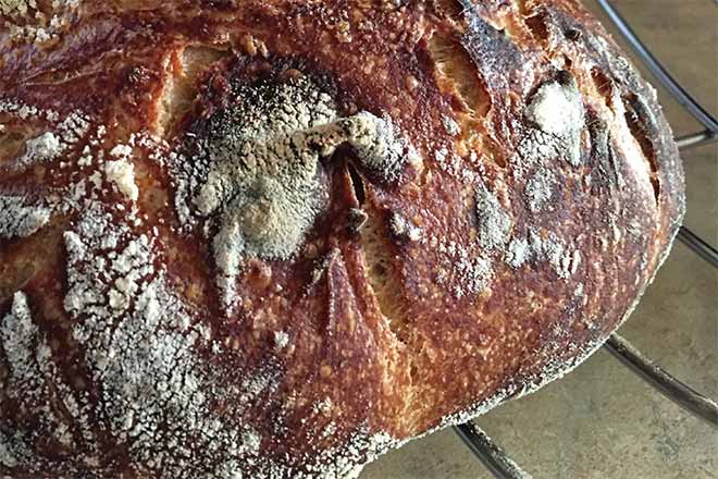 Sourdough Bread