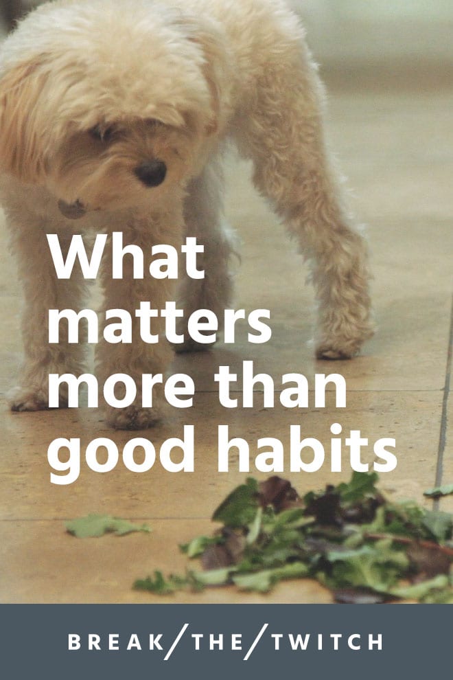 This Matters More Than Good Habits // Success isn't only about habits and consistency. I've found there's something that matters more than good habits when it comes to long-term success. // breakthetwitch.com