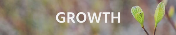 BTT Audio Series — Growth